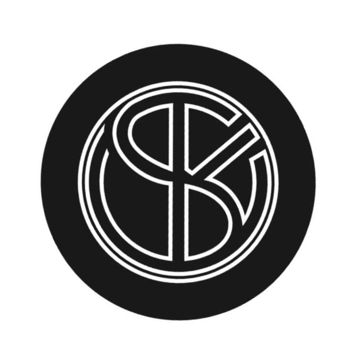 Sky Limousine Logo
